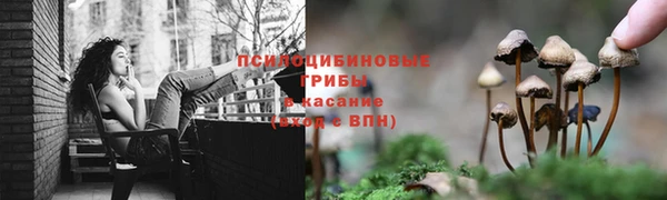 каннабис Верея