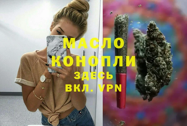 амф Верхний Тагил